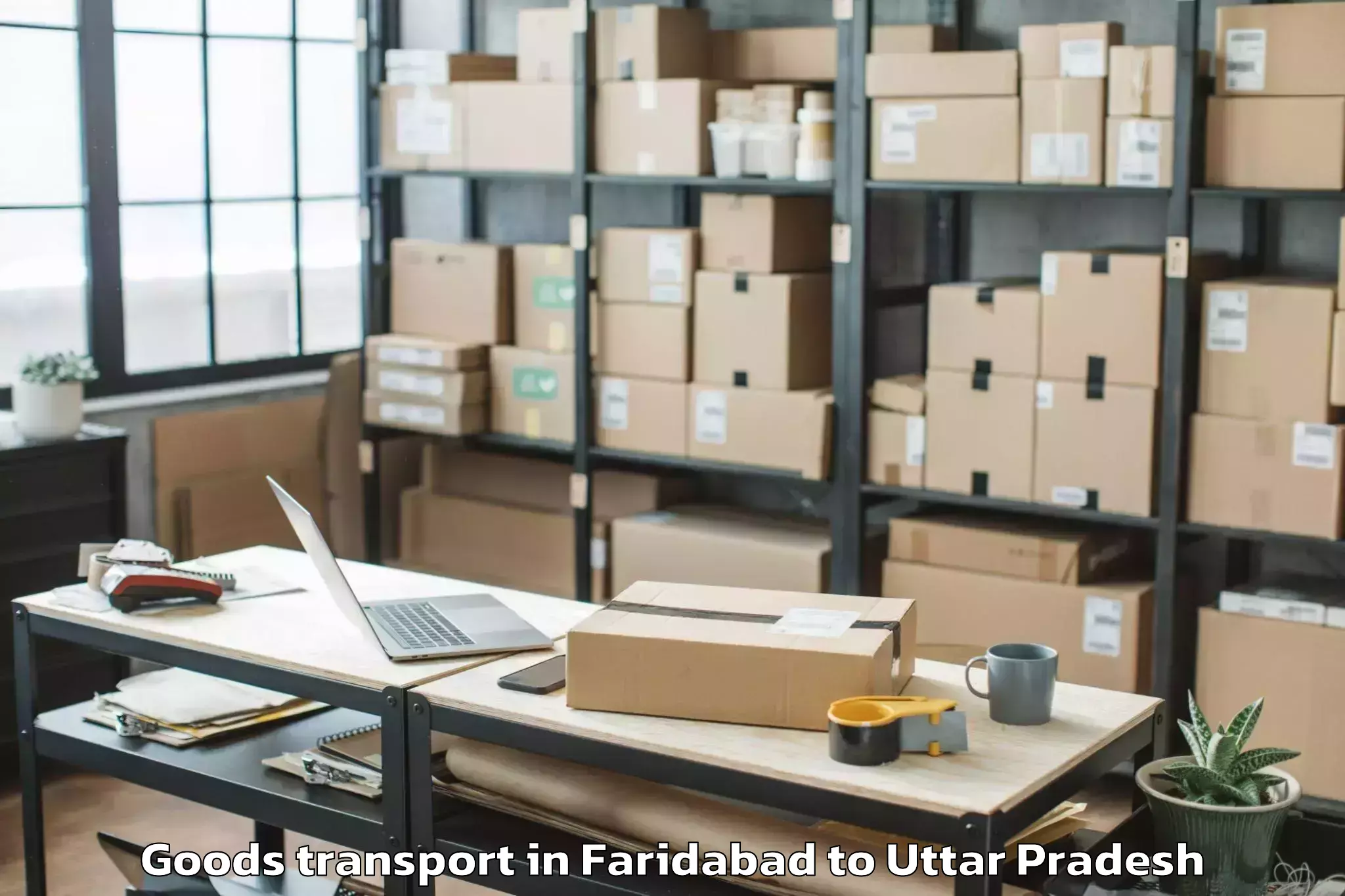 Quality Faridabad to Dr Ram Manohar Lohia Avadh Uni Goods Transport